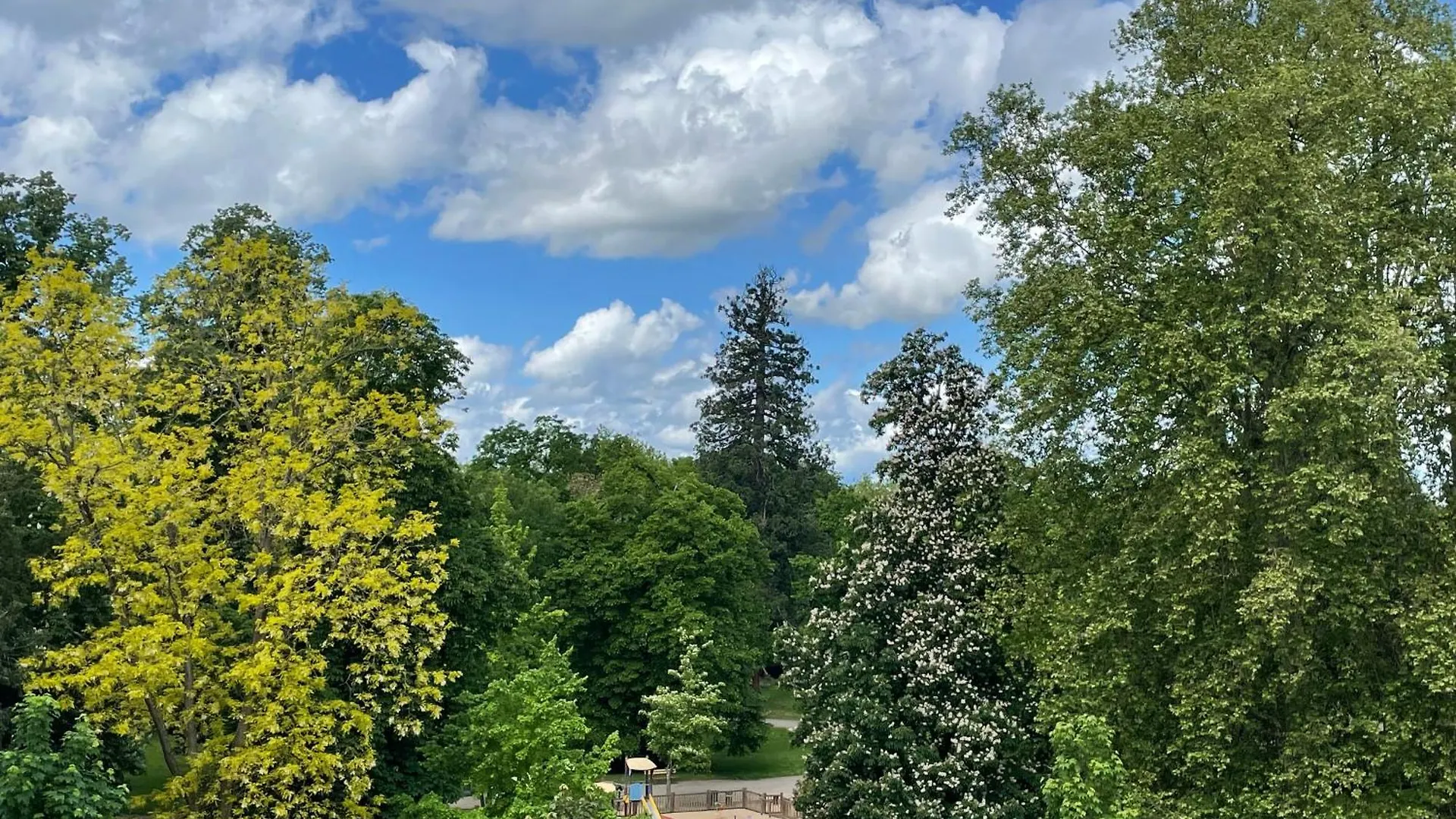 Le Joyau Des Parcs Classe 4 Etoiles Appartement Central Au Calme Avec Terrasse Vichy France